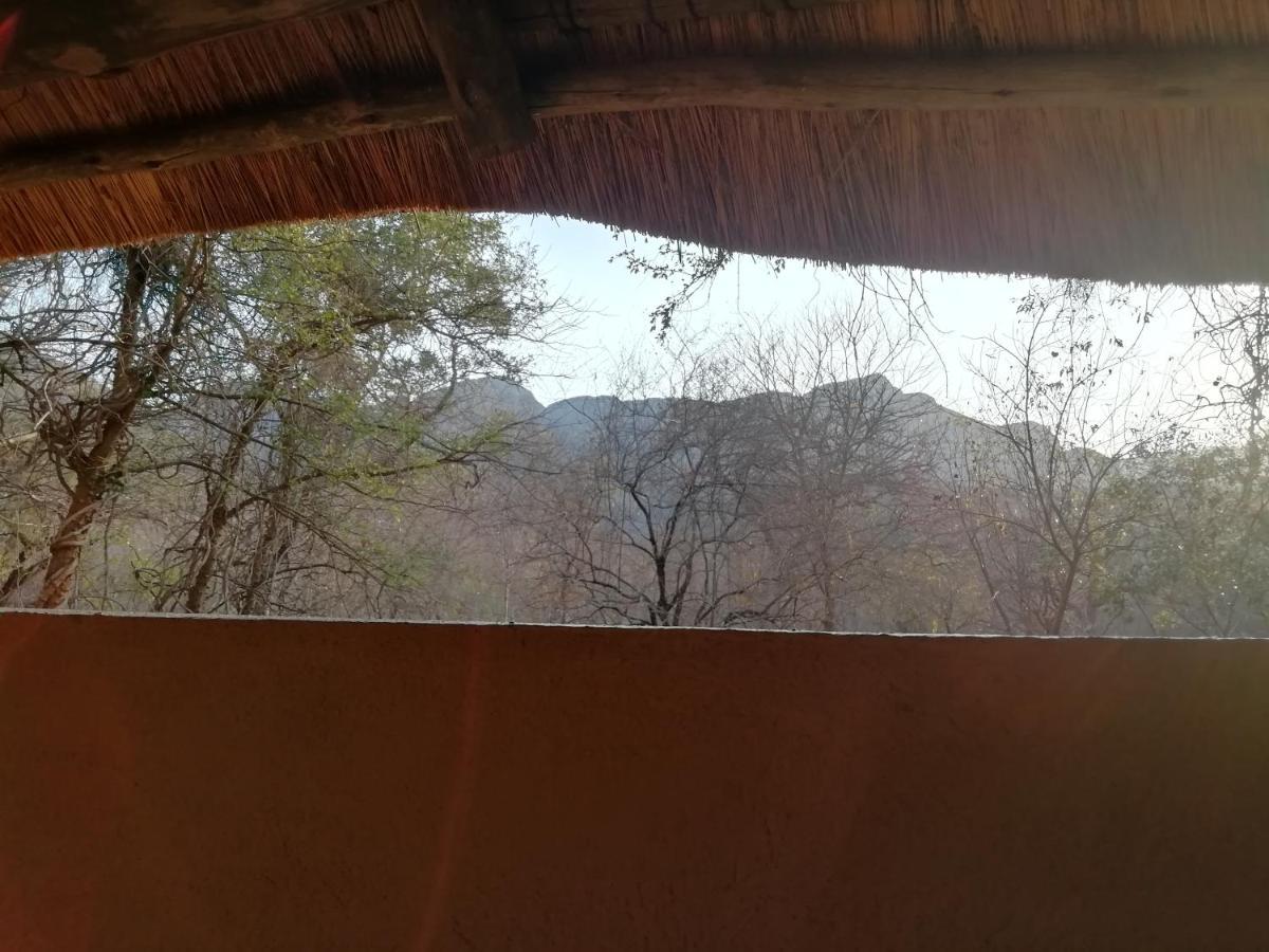 호에드스프뤼트 Shumba Safari Bush Camp 빌라 외부 사진