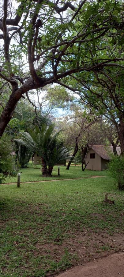 호에드스프뤼트 Shumba Safari Bush Camp 빌라 외부 사진